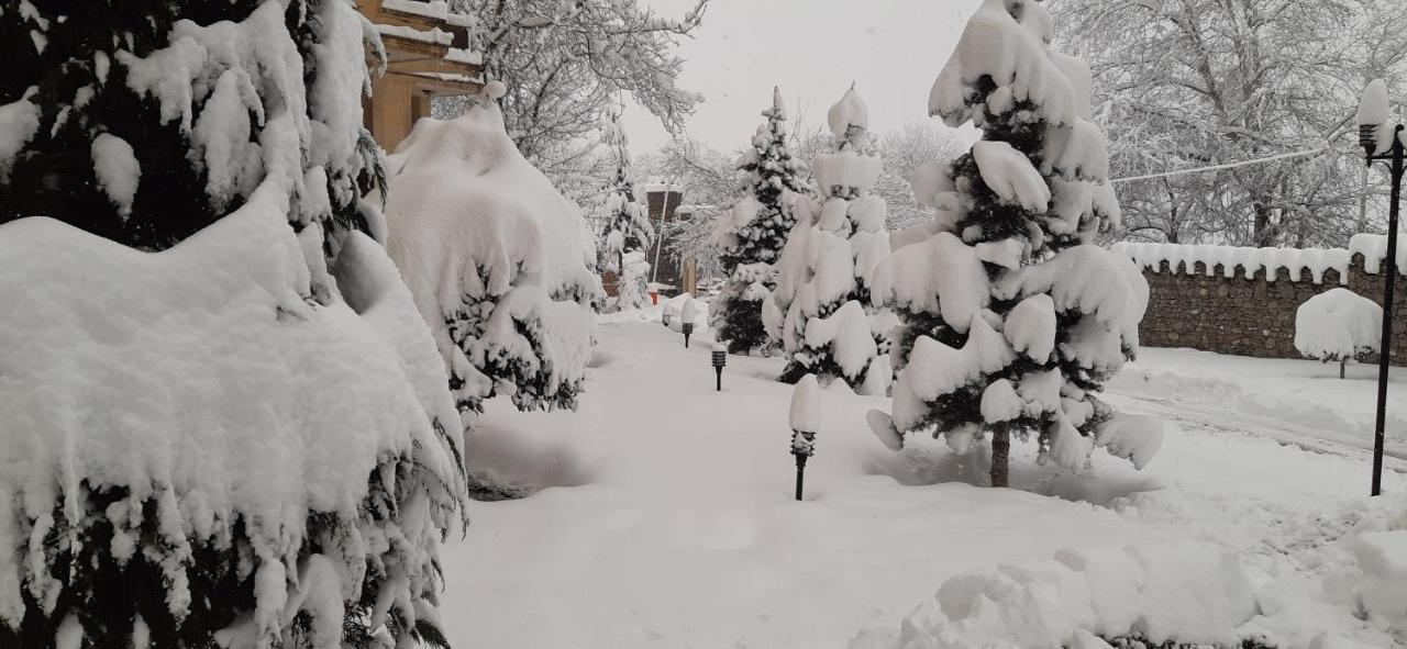 Gabala Yeddi Gozel Hotel Gabala